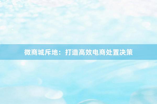 微商城斥地：打造高效电商处置决策